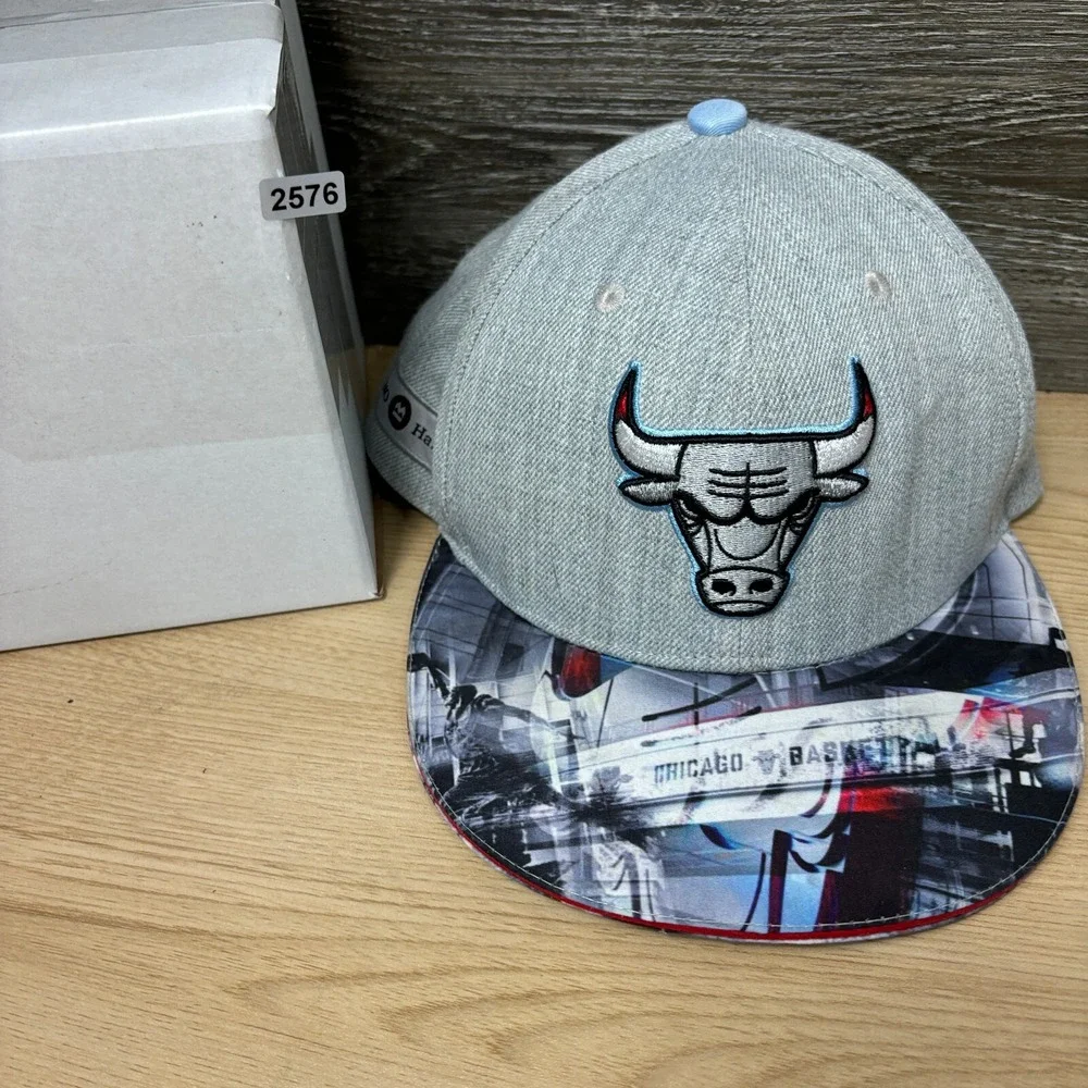 Chicago Bulls Hat Cap Snapback Gray NBA Basketball‎ City Art Promo